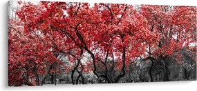 Obraz - Červené stromy, Central Park, New York (120x50 cm)