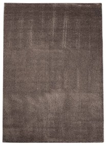 Dekorstudio Koberec s dlhým vlasom SOFTSHINE hnedý Rozmer koberca: 160x220cm