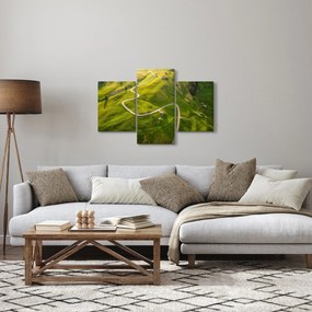 Obraz - Náhorná lúka (90x60 cm)