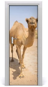 Samolepiace fototapety na dvere Velblou na púšti 75x205 cm