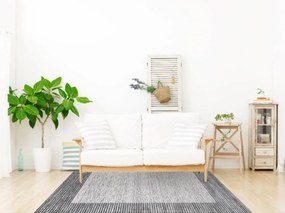 Berfin Dywany, Kusový koberec Vals 8001 Grey, 200x290, šedá, kancelária