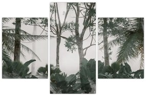 Obraz - Jungle v rannej hmle (90x60 cm)