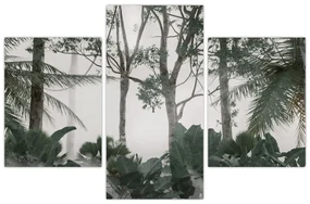 Obraz - Jungle v rannej hmle (90x60 cm)