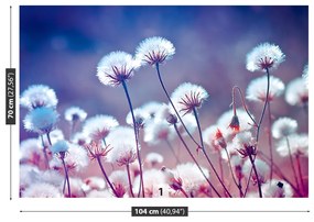 Fototapeta Vliesová Lúčne kvety 104x70 cm