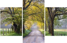 Obraz - Smoky Mountains, Gatlinburg, USA (90x60 cm)
