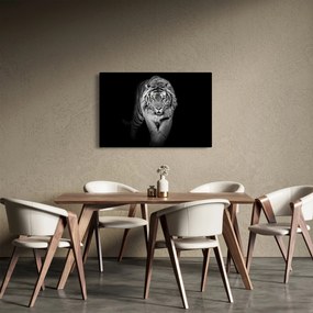 Obraz - Tiger so žltými očami (90x60 cm)
