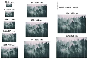 Samolepiaca fototapeta čiernobiela púpava