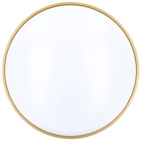 Solight WO8013 - LED Stmievat. stropné svietidlo CALA LED/48W/230V 3000-6500K + DO