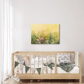 Obraz - Maľovaná lúka (70x50 cm)