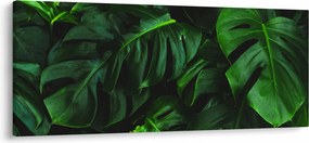 Obraz listov Monstery (120x50 cm)