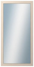 DANTIK - Zrkadlo v rámu, rozmer s rámom 50x100 cm z lišty 4020 biela prederaná (2766)