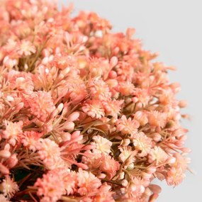 Veniec CLADEL červený 740442