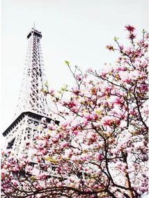 Obraz na plátne Jar v Paríži, 50x70 cm%