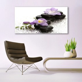 Obraz plexi Kvet kamene umenie 120x60 cm