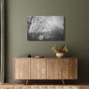 Obraz - Lúka po daždi (90x60 cm)