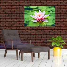 Obraz lekna na hladine (90x60 cm)