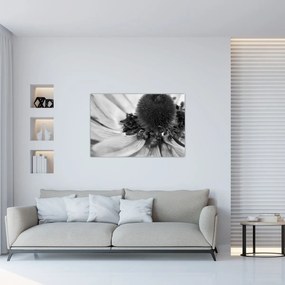 Obraz - Kvetina v čiernobielej (90x60 cm)