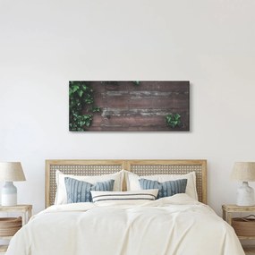 Obraz - Brečtan (120x50 cm)