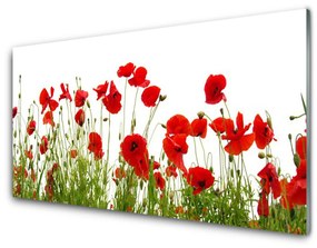Skleneny obraz Maky kvety príroda 140x70 cm