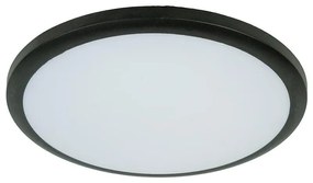 Stropná lampa LARA 12W 4000K Black VO2921 PL1