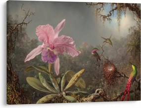 Obraz - Martin Johnson Heade, Cattleya Orchid and Three Hummingbirds, reprodukcia (70x50 cm)