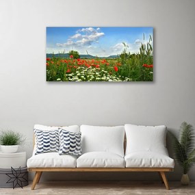 Obraz Canvas Lúka kvety príroda 140x70 cm
