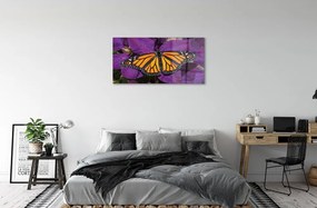 Sklenený obraz Farebný motýľ kvety 120x60 cm