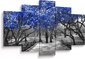 Obrázok - Modré stromy, Central Park, New York (150x105 cm)