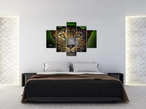 Obraz - Portrét leoparda, Sri Lanka (150x105 cm)