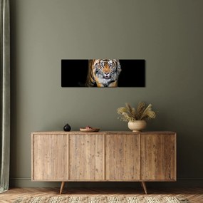 Obraz - Tiger (s hodinami) (90x30 cm)