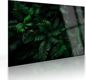 Sklenený obraz - Tropické papradie (70x50 cm)