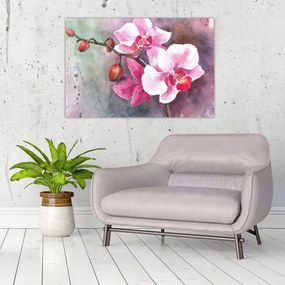 Obraz - Orchidey, aquarel (90x60 cm)