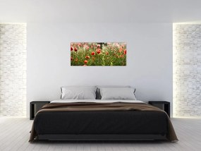 Obraz vlčích makov (120x50 cm)