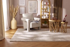 Koberec RAGOLLE Argentum 63934 6575