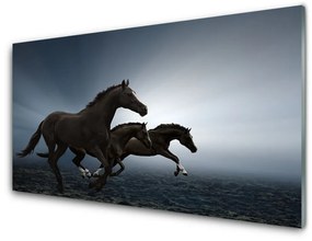 Nástenný panel  Kone zvieratá 120x60 cm