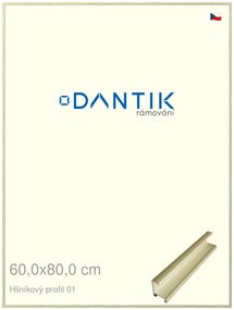 DANTIK rám na obraz 60x80 | ALU zlatá lesklá alternativa (Plexi Čiré)