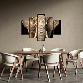 Obraz - Slon africký (150x105 cm)