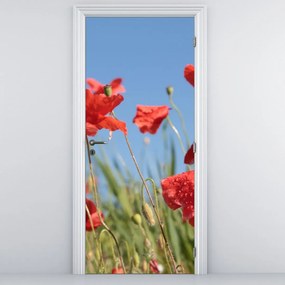 Fototapeta na dvere - Vlčie maky (95x205cm)