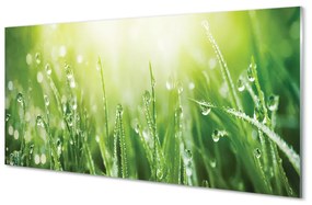 Obraz na skle Tráva slnko kvapky 140x70 cm