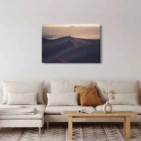 Obraz - Piesočné duny (90x60 cm)