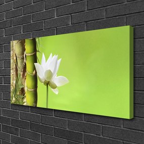 Obraz Canvas Bambus stonka rastlina príroda 100x50 cm