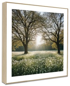 Obrazy v súprave 4 ks 30x30 cm Sunrise Hike