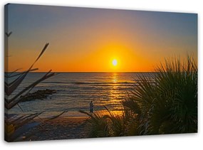Obraz na plátně Plážová tráva při západu slunce - 100x70 cm