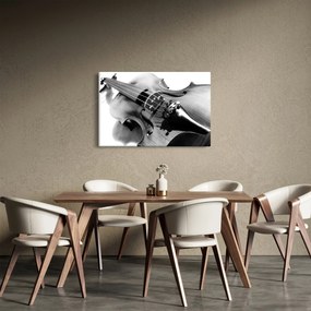 Obraz - Husle (90x60 cm)