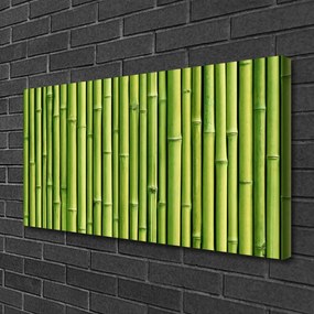 Obraz Canvas Bambus rastlina príroda 120x60 cm