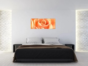 Obraz - Ruža, marhuľová farba (120x50 cm)