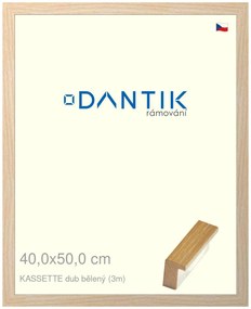 DANTIK rám na obraz 40x50 | KASSETTE dub bělený (Sklo Čiré)