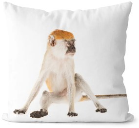 Vankúš Opičiak (Veľkosť: 40 x 40 cm)