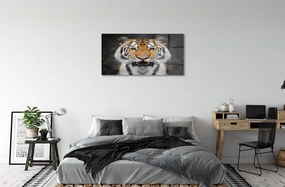 Sklenený obraz tiger 120x60 cm