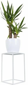 STOJAN NA KVETINÁČ SIMPLE 40X24X24 CM BIELA